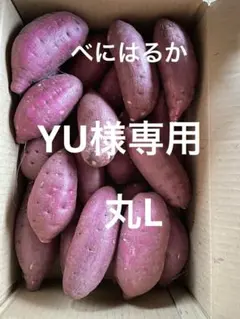 YU様専用　丸L 20キロ