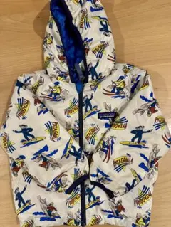 パタゴニア ダウン 2t