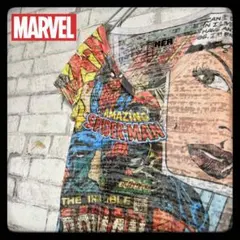 【希少】MARVEL マーベル Tシャツ スパイダーマン アイアンマンのサムネイル