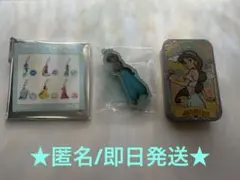 【ジャスミン/最終値下げ】すらいどきゃん/ミニアクスタキーチェーン