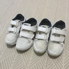 Item thumbnail for item bcd6d896-d57f-4c51-adf8-0c0171bae254