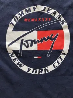 TOMMY JEANS ロゴTシャツ ネイビー　Mサイズ
