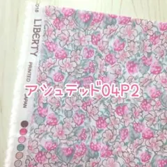 レア！希少カラー！アシュテッド04P2　リバティタナローン生地