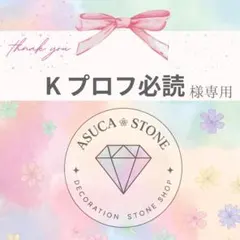 K プロフ必読様