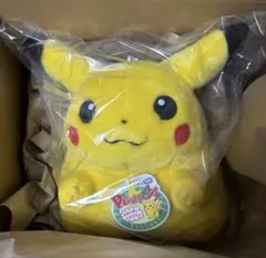 ポケモン30周年記念 おかえり！ピカチュウ 1/1