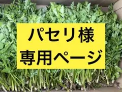パセリ様専用ページ　セリ　岡山県産　天然　無農薬　自然　山菜　野菜