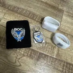 BUMP OF CHICKEN グッズセット