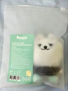 2025年最新】txt スビン ぬいぐるみの人気アイテム - メルカリ