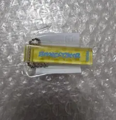 BOYNEXTDOOR テサン アクリルキーリング