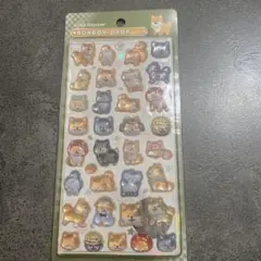 和柄 柴犬 正規品　ボンボンドロップシール クーリア シール