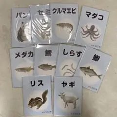 【2025年度未開封】ベビーパーク　ピクチャーブックレット　40冊