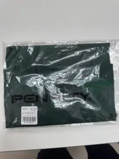 Penalty サッカーインナーグリーンL