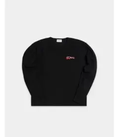 IDEASWAM OUROBOROS THERMAL最安値 2026年最新】IDEASWAMの人気アイテム - メルカリ