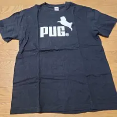 新品　ティシャツ　Lサイズ