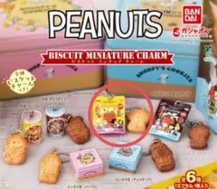 PEANUTS スヌーピー ビスケットミニチュアチャーム　ガチャ　カプセルトイ