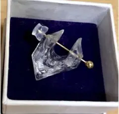 Item thumbnail for item caa3e8e2-fefe-469e-9d5d-c899db8dcf31