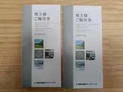 【2セット】東急不動産ホールディングス　株主優待（100〜300株）