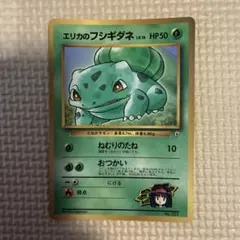 포켓몬 カード エリカの 이상해씨 구이면