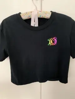 ミセスグリーンアップル　Tシャツ　FJORD クロップド