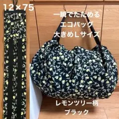 Item thumbnail for item ff243339-fb31-478d-8ed3-75b190041765