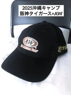 2026年最新】a&w 沖縄 阪神の人気アイテム - メルカリ