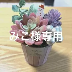 みこ様 リクエスト 2点 まとめ商品