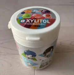 【未開封】XYLITOL キシリトールガム いれいす アソートボトル