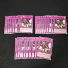 ◉30枚セット◉大捕り物 N30