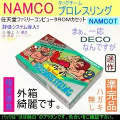 【程度優良】 タッグチーム プロレスリング NAMCOT 13 《ハガキ無し》