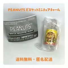 スヌーピー　PEANUTS ミニチュアチャーム　ウッドストック