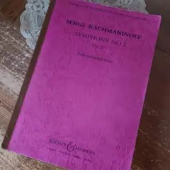 B320 洋書 楽譜 紙物 ヴィンテージ ジャンクジャーナル 雑記帳 コラージュ