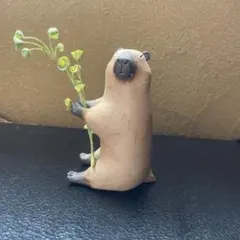 2025年最新】かとうゆみ 陶器の人気アイテム - メルカリ