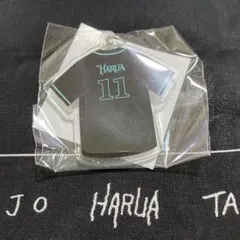 &TEAM HARUA ハルア　カプセルトイ ユニフォーム めじるしアクセサリー