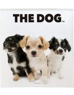 THE DOG 壁掛け　のれん　チワワ