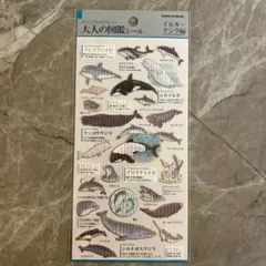 【正規品最安値】大人の図鑑シール　イルカ・クジラ編のサムネイル