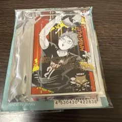 ハイキュー!!　ドミノ風アクリルキーホルダーコレクション　日向