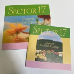 ジョンハン SECTOR17  カラット盤