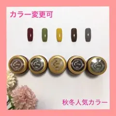 【カラー変更可】秋冬人気カラージェル ジェルネイル