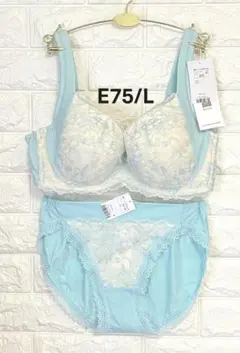 トリンプ　癒しのブラ631コンフォートワイヤー搭載　上下セット　ブルーE75/L