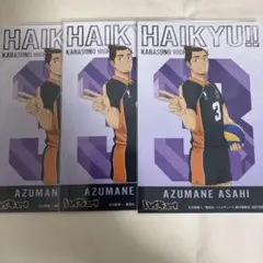 ハイキュー 東峰旭 ポストカードセット