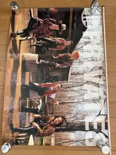 非売品】Mrs. GREEN APPLE / Party 特典ポスター - メルカリ
