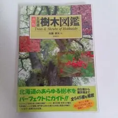 Item thumbnail for item 6a31f7c4-98fa-4a17-b9be-85d3f6fee2e1