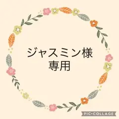 ジャスミン様オプション料金
