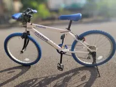【石川県金沢市近郊受け渡し】子供用自転車 22インチのサムネイル