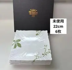 リチャードジノリ フィオーリヴェルディ 皿22cmと 17cm各5枚セット