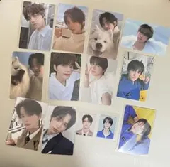 TWS シニュ トレカ セット