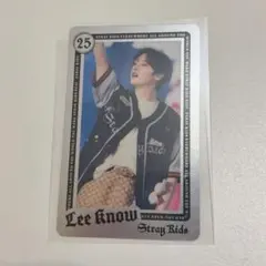 Stray Kids Leeknow リノ ライブフォト エコパ トレカ