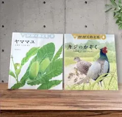 かがくのとも 雑木林の虫たちの絵本 ヤママユ カブトムシ ハンミョウ