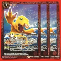 タルケン様 リクエスト 3点 まとめ商品