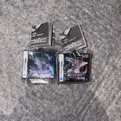 ポケモン パッケージ＆ゲームカードキーホルダーコレクション ダイヤモンド パール